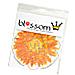 Blossom Crowns